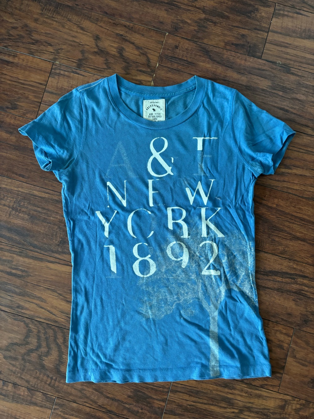 Abercrombie & Fitch Blue Short Sleeve Logo Tee